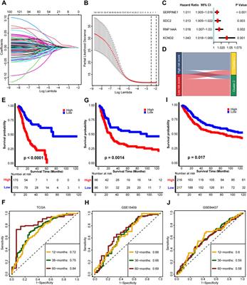 TGFβ-Associated Signature Predicts Prognosis and Tumor Microenvironment Infiltration Characterization in Gastric Carcinoma